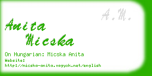 anita micska business card